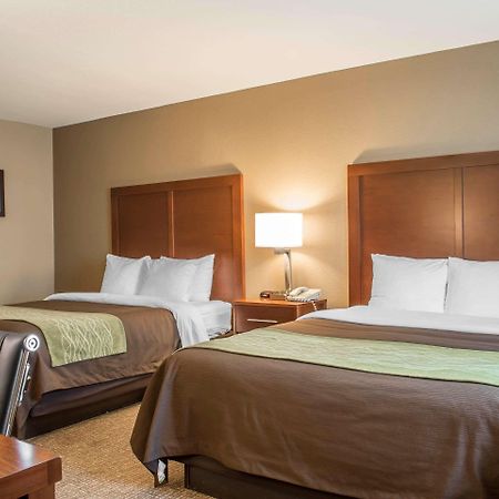 Comfort Inn Edinburg South Esterno foto