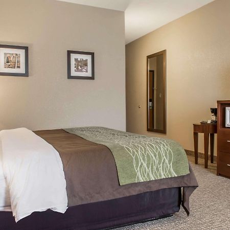 Comfort Inn Edinburg South Esterno foto