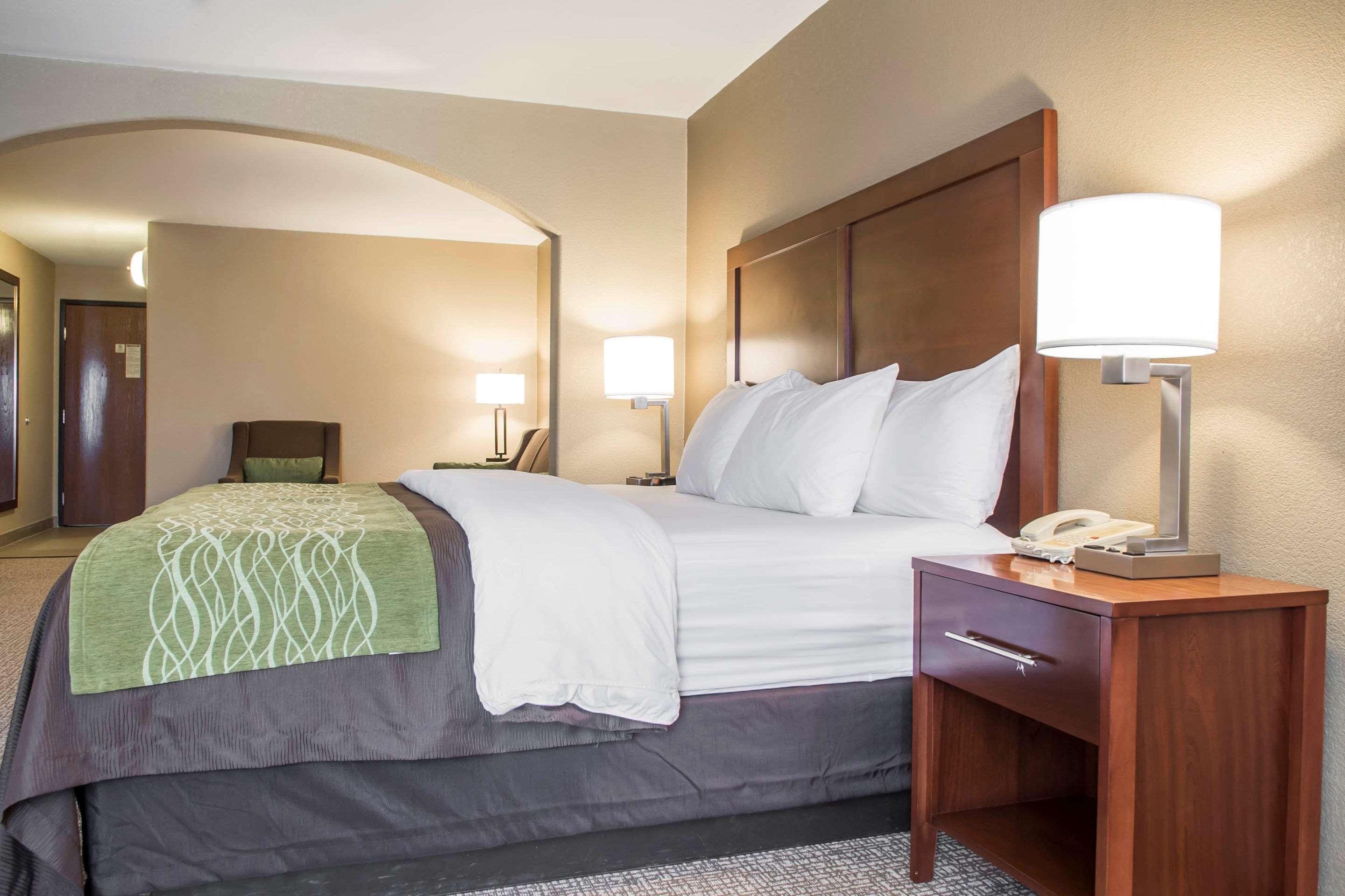 Comfort Inn Edinburg South Esterno foto