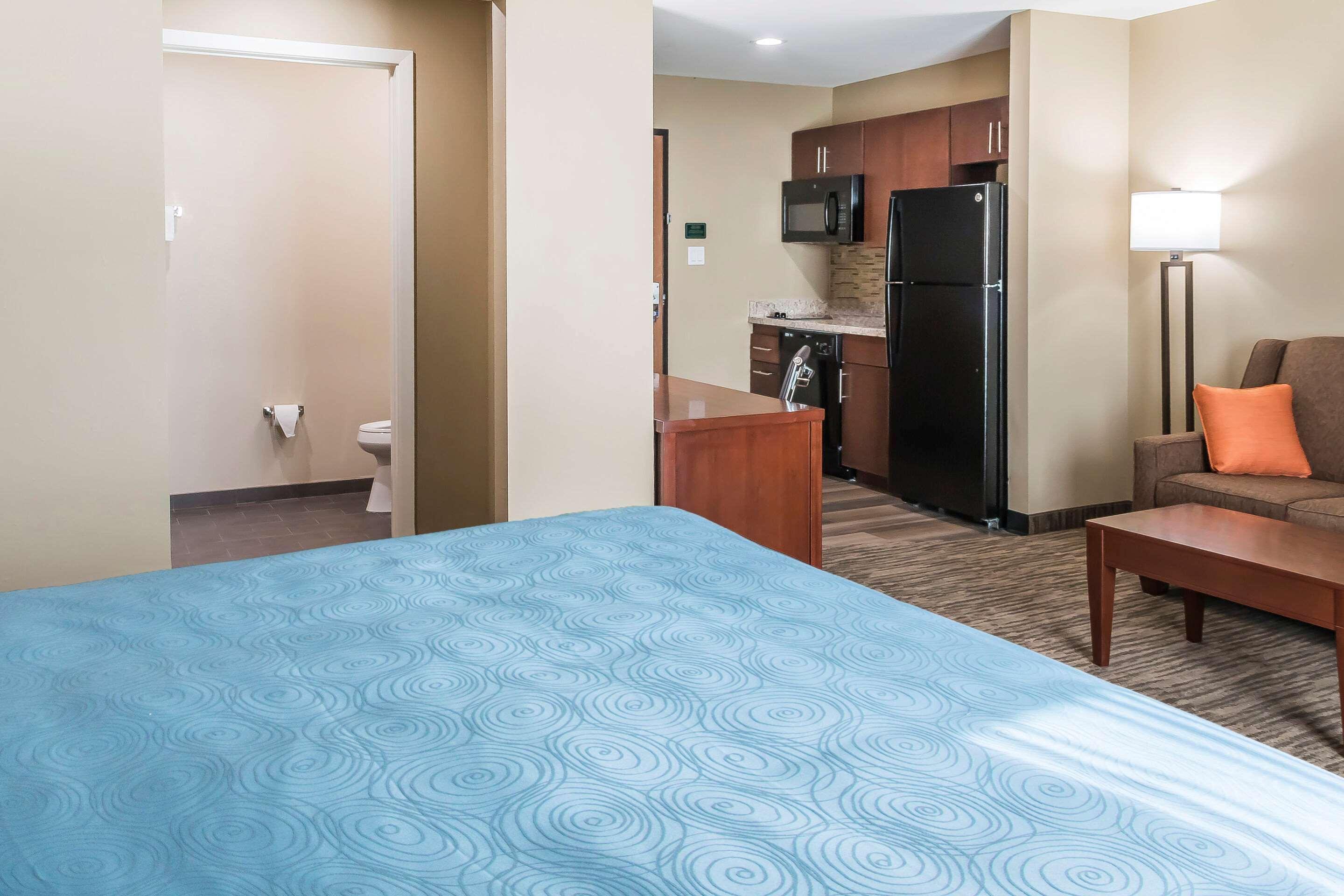 Comfort Inn Edinburg South Esterno foto
